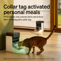 Locking lid and shield prevent other cat from stealing food.