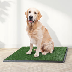 PETMAKER grass turf close-up showing realistic texture for natural potty cues.