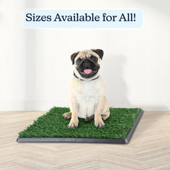 PETMAKER easy cleanup with rinse-clean tray and layers