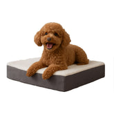 PETMAKER orthopedic dog bed memory-foam-base provides steady joint support for small dogs