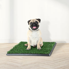 PETMAKER reusable dog potty pad works indoors and outdoors