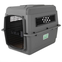 Petmate Sky Kennel interior view showing roomy space for medium dogs during travel