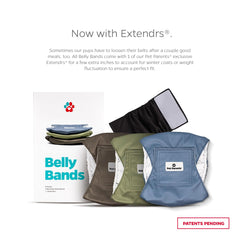 Pet Parents Belly Band 3Pack in grey with breathable fabric for daily wear.
