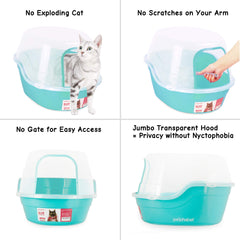 Petphabet teal litter box with color strip over opening to guide scooping and containment.