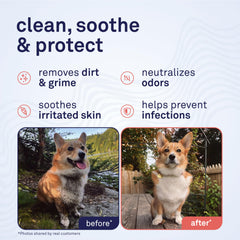 Petpost Large Grooming Wipes in hand for quick refresh on the go