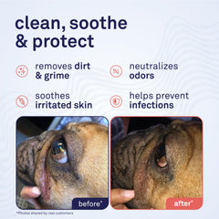 Petpost Large Wrinkle Wipes 5x7 size covers more area quickly