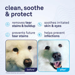 Petpost Tear Stain Remover applied to a cotton pad for precise eye cleaning.