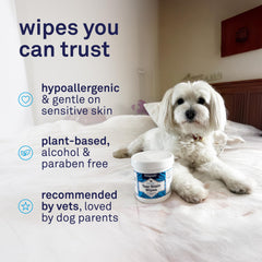 Eco-friendly packaging for Petpost wipes.