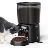Petrice automatic cat feeder front view showing compact design for busy homes and reliable timing.