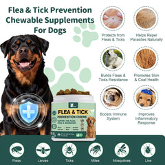 Close-up of Petrivium chews texture showing soft treats dogs enjoy