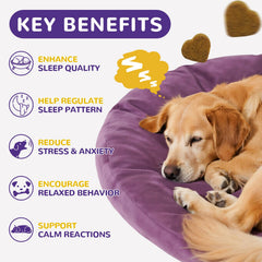 Petrivium Melatonin Dog Chews bottle label highlights 3 mg per chew and natural botanicals.