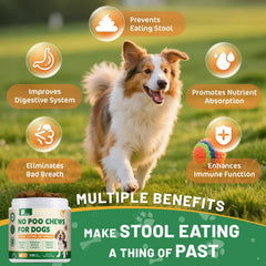Petrivium No Poo Chews label close-up, highlighting vet-formulated ingredients for pets.