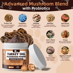 Petrivium powder dispensed into pet food at mealtime