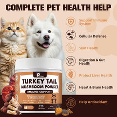 Petrivium Turkey Tail and mushrooms close-up highlighting antioxidants