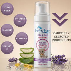 Pet's Fav waterless shampoo foam applied for quick coat cleansing.