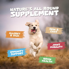 Pets Purest Salmon Oil coats dogs and cats with nourishing omega fatty acids.
