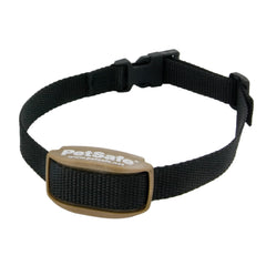 PetSafe Pawz Away extra receiver collar worn by a dog for boundary training at home