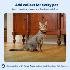 PetSafe waterproof receiver collar close-up for everyday outdoor use