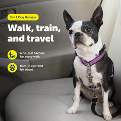 PetSafe 3-in-1 harness plum XS back clip for standard walking