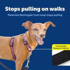 PetSafe plum XS seat belt loop for car safety