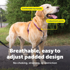 PetSafe harness top handle for quick control during walks