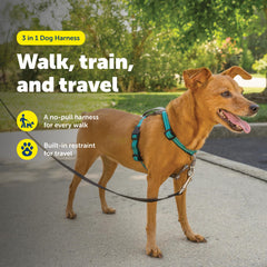 PetSafe 3-in-1 harness back clip ideal for running with a small dog