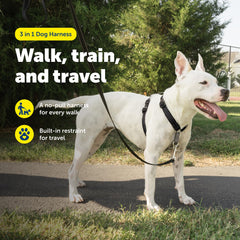 PetSafe 3-in-1 harness back attachment ideal for running with your dog