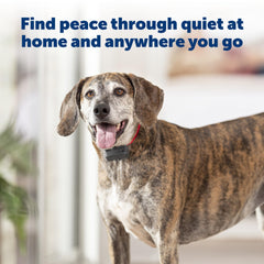 PetSafe Basic Bark Collar on a dog's neck shows sizing up to 27 inches