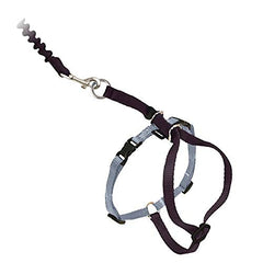 Petsafe bungee leash stretch provides forgiving control during cat exploration