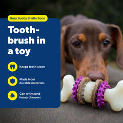 PetSafe Busy Buddy Bristle Bone three-in-one surfaces with treat rings