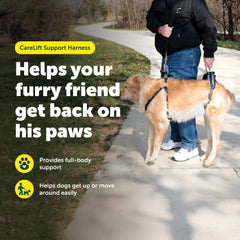 PetSafe CareLift harness uses breathable mesh to keep dogs cool while assisting movement