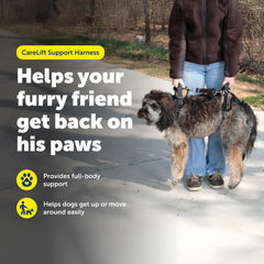 PetSafe CareLift lifting leash helps your dog stand and move with care.