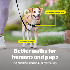 Petsafe chest-strap design harness for gentle guiding without neck pressure.