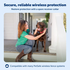 PetSafe waterproof collar keeps pets comfortable during outdoor play.