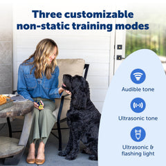 PetSafe Collarless Trainer ultrasonic frequencies safely capture attention