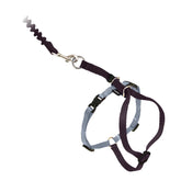 PetSafe Come With Me Kitty Harness close-up showing adjustable fit for comfy outdoor walks