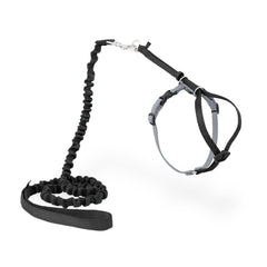 Petsafe Come With Me Kitty Harness and Bungee Leash main view showing safe outdoor exploration