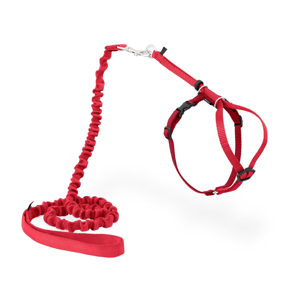 PetSafe Come With Me Kitty Harness and Bungee Leash front view in red for safe outdoor walks