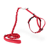 PetSafe Come With Me Kitty Harness and Bungee Leash front view in red for safe outdoor walks