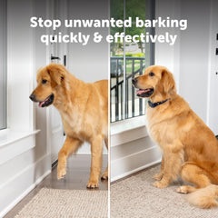 PetSafe Core Digital Bark Collar illuminated display shows mode and battery status at a glance