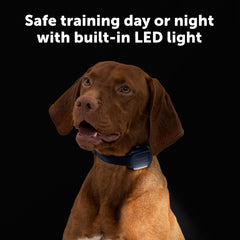 PetSafe Core waterproof collar enables confident outdoor training