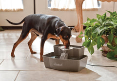PetSafe Drinkwell Multi-Tier Fountain water stream entices pets to drink more.