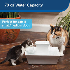 Petsafe Drinkwell Pagoda with two streams for easy drinking habits.