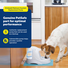 PetSafe DrinkWell Platinum back-up pump during fountain maintenance
