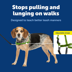 PetSafe Easy Walk chest-rest design reduces neck pressure during pulls