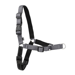 PetSafe Easy Walk Deluxe harness front attachment in use for gentler steering