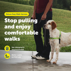 PetSafe Easy Walk Deluxe harness martingale-loop guides dogs gently toward you