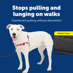 PetSafe Easy Walk Deluxe quick-snap straps enable fast, secure fitting