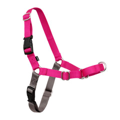 PetSafe Easy Walk front-clip design for stress-free daily walks
