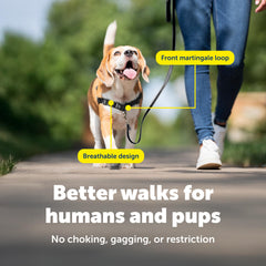 PetSafe Easy Walk front leash attachment guiding dog during walks.
